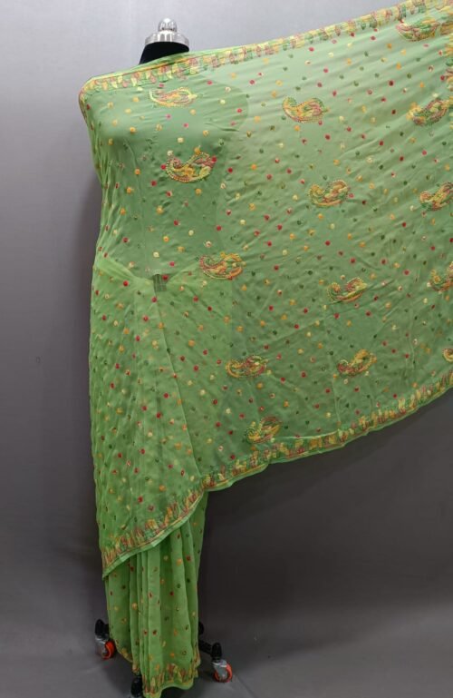 Georgette Chikankari Saree Resham Work2