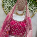 Heavy Lehenga Choli Set2